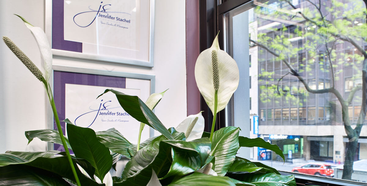 peace lily on desk in dentist office